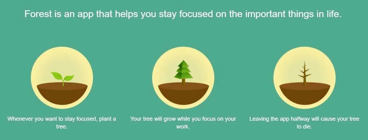 Forestapp