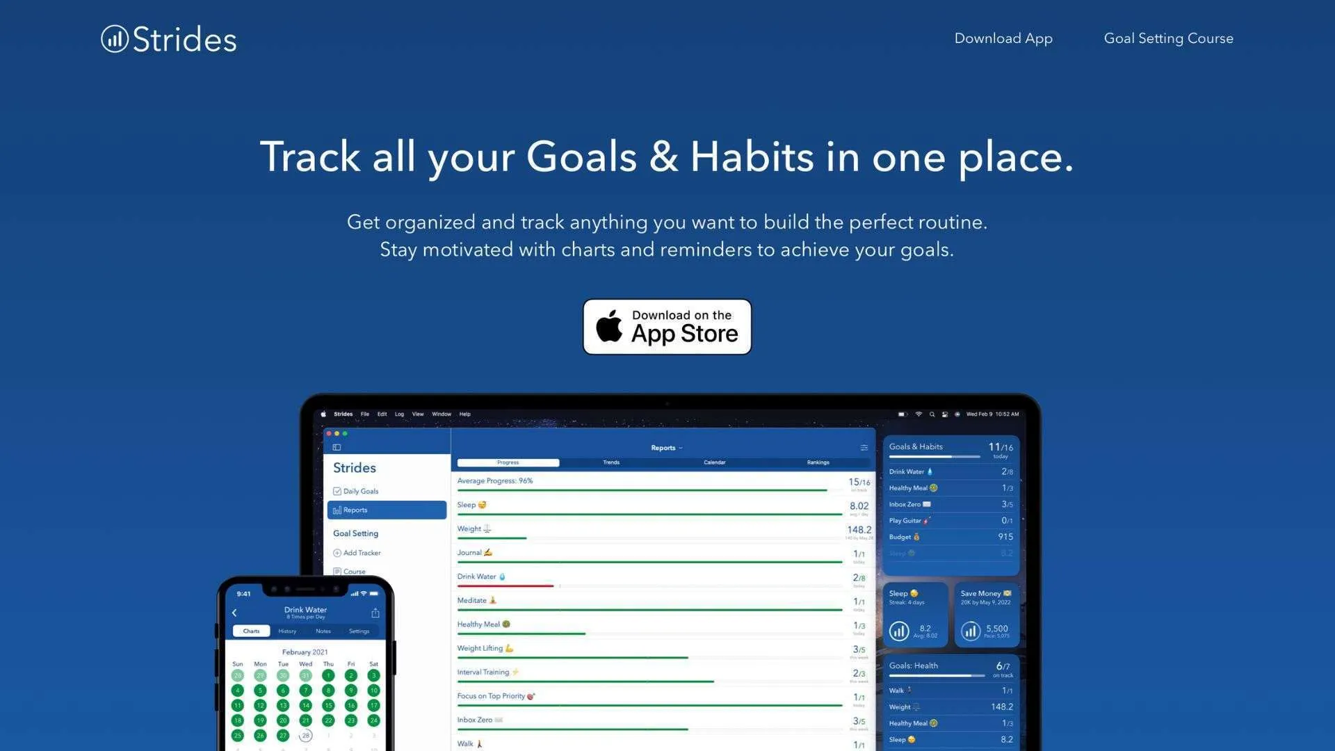 Best Goal Tracking App Strides