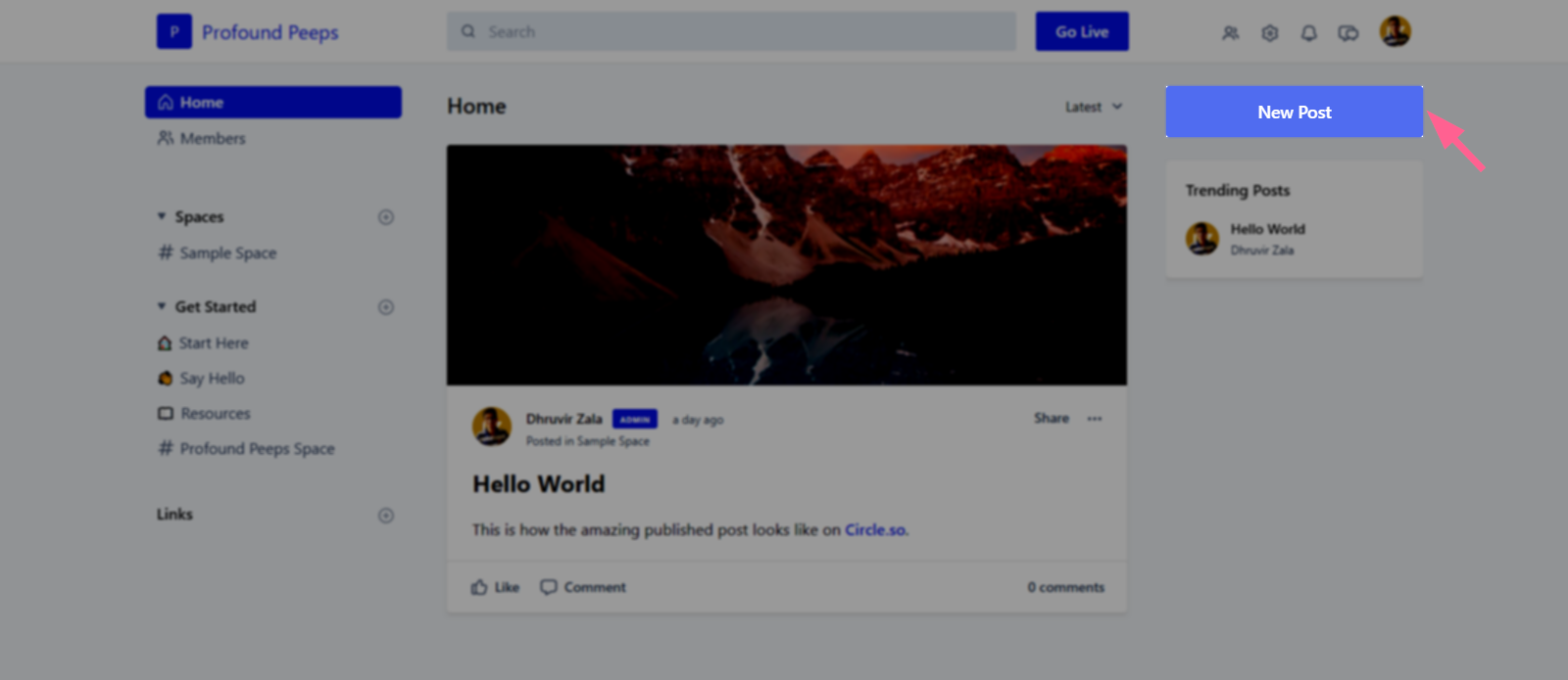 New Post button