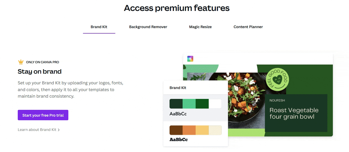 Premium-Funktionen von Canva Pro Premium-Funktionen von Canva Pro