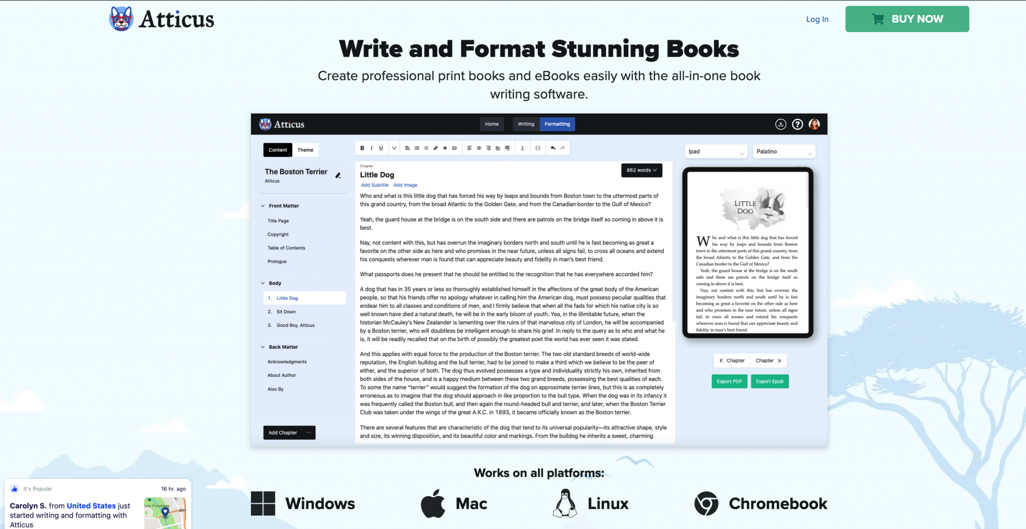 12 Best Book Design Software and Tools (2024)