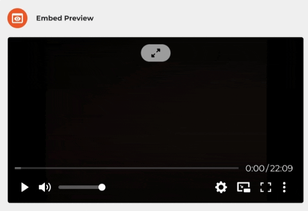 Switcher Studio video preview