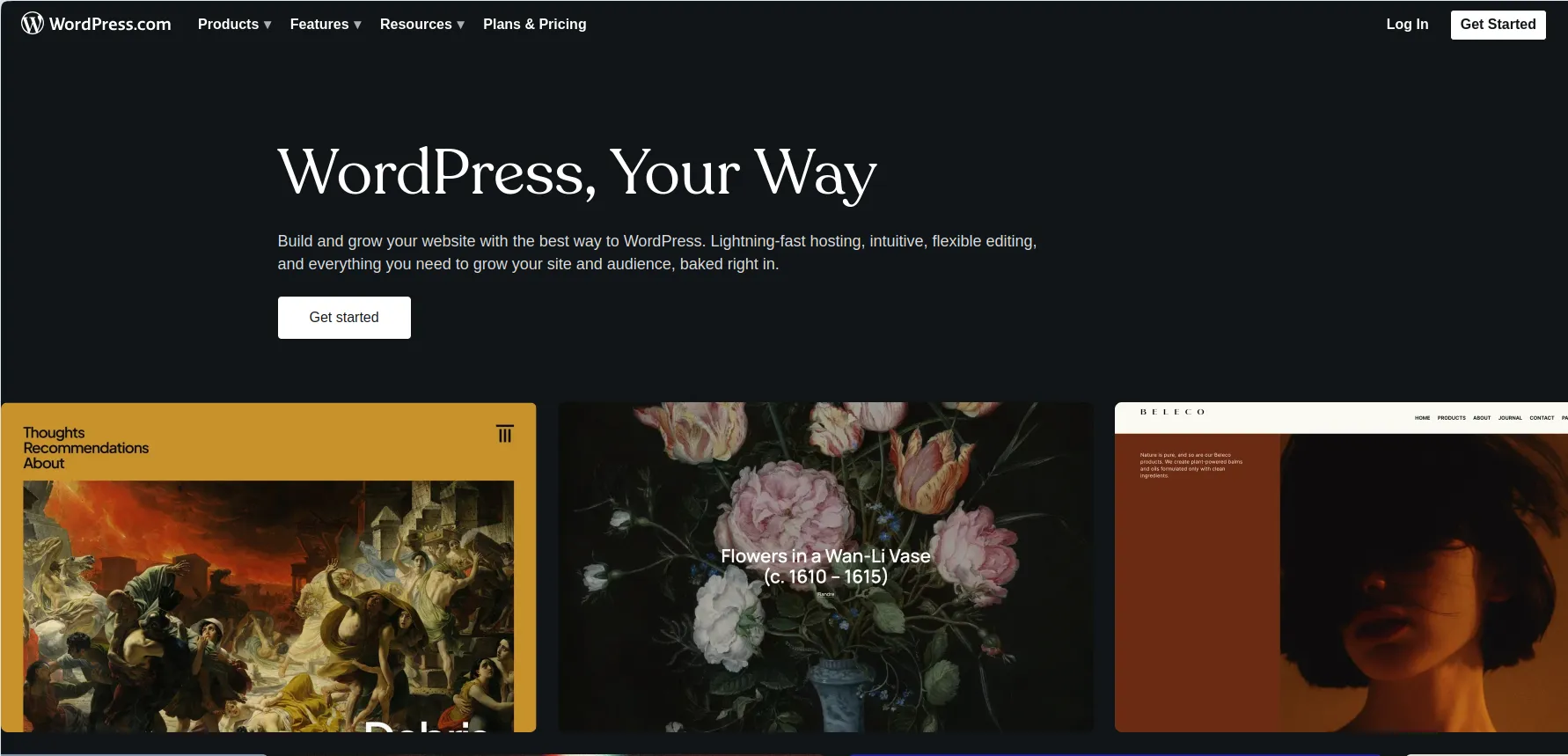 Izdelovalec spletnih strani WordPress Izdelovalec spletnih strani WordPress