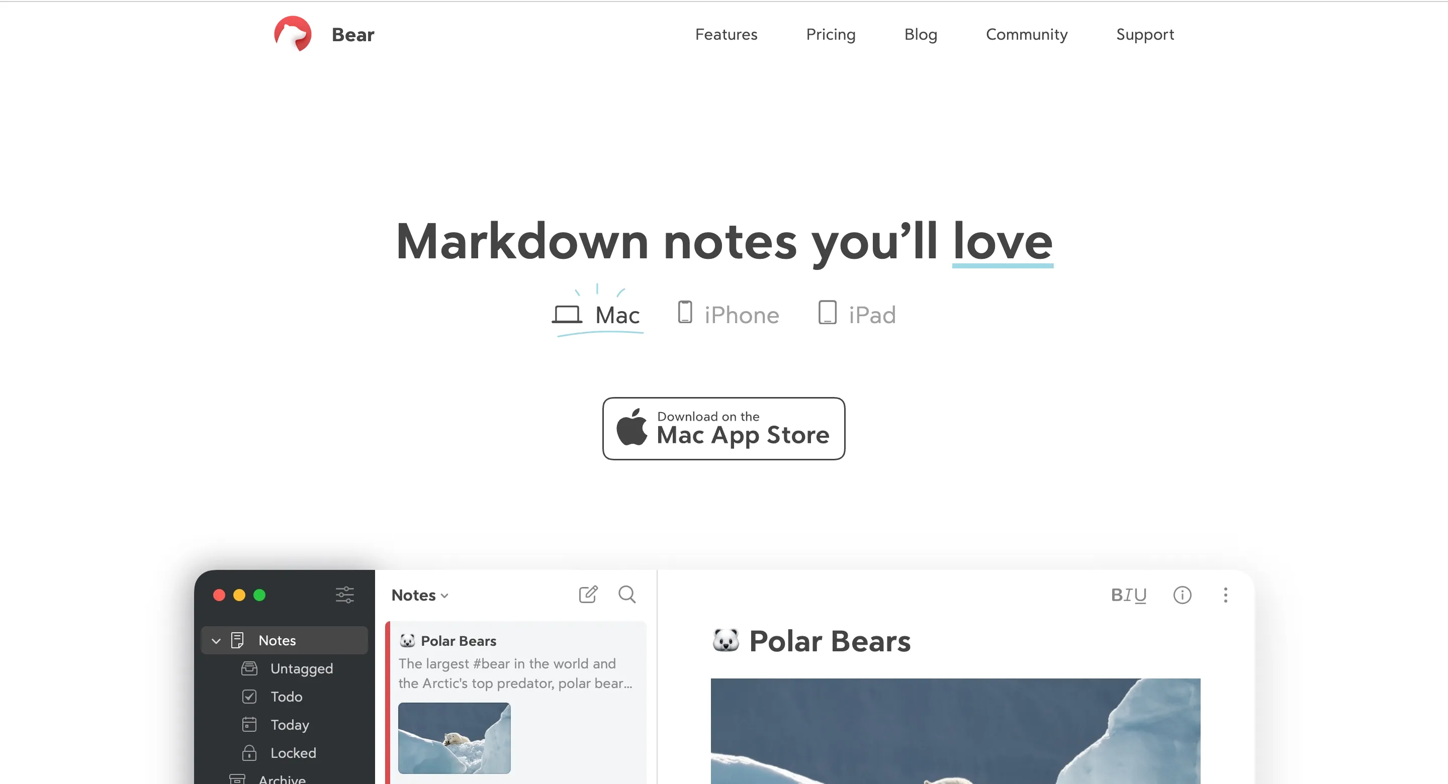 Bear Bear
