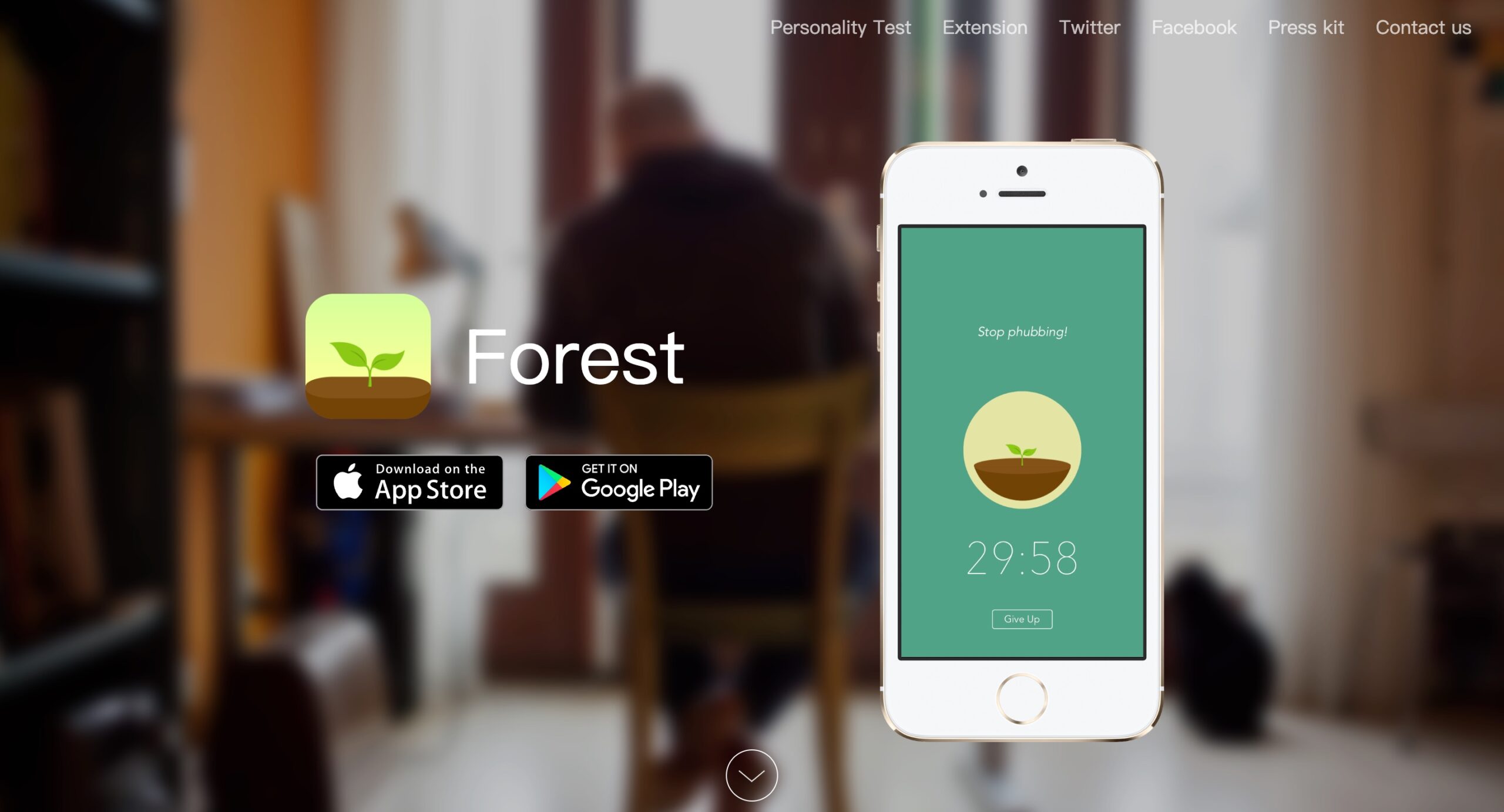 Forest