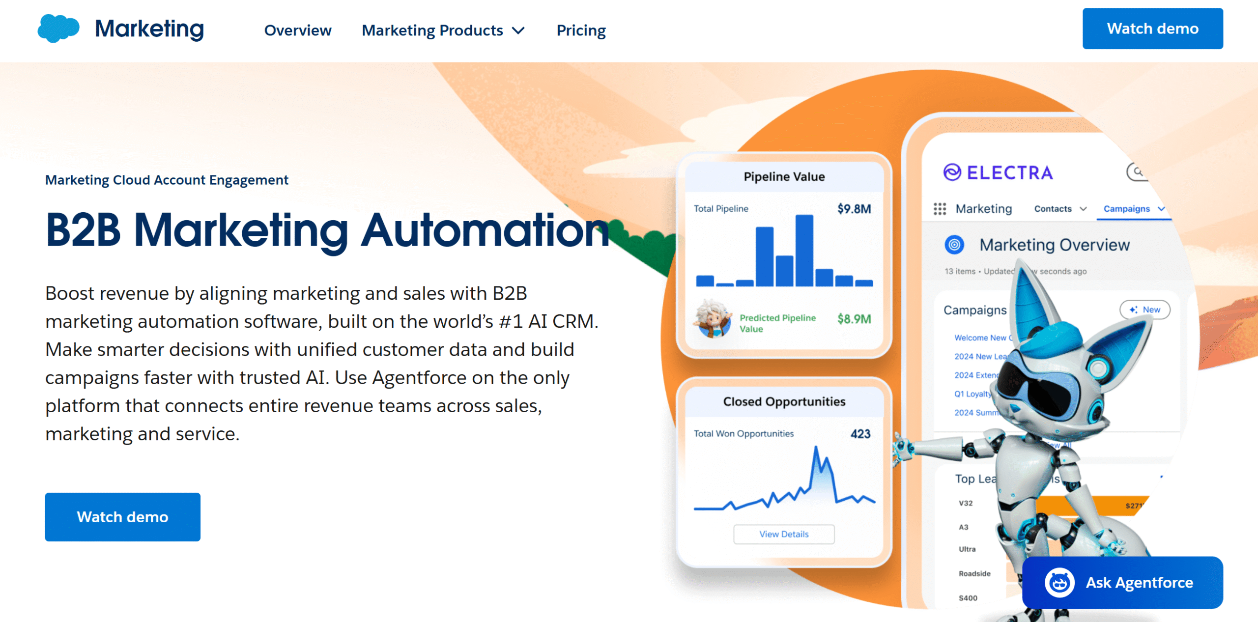 Salesforce marketing automation