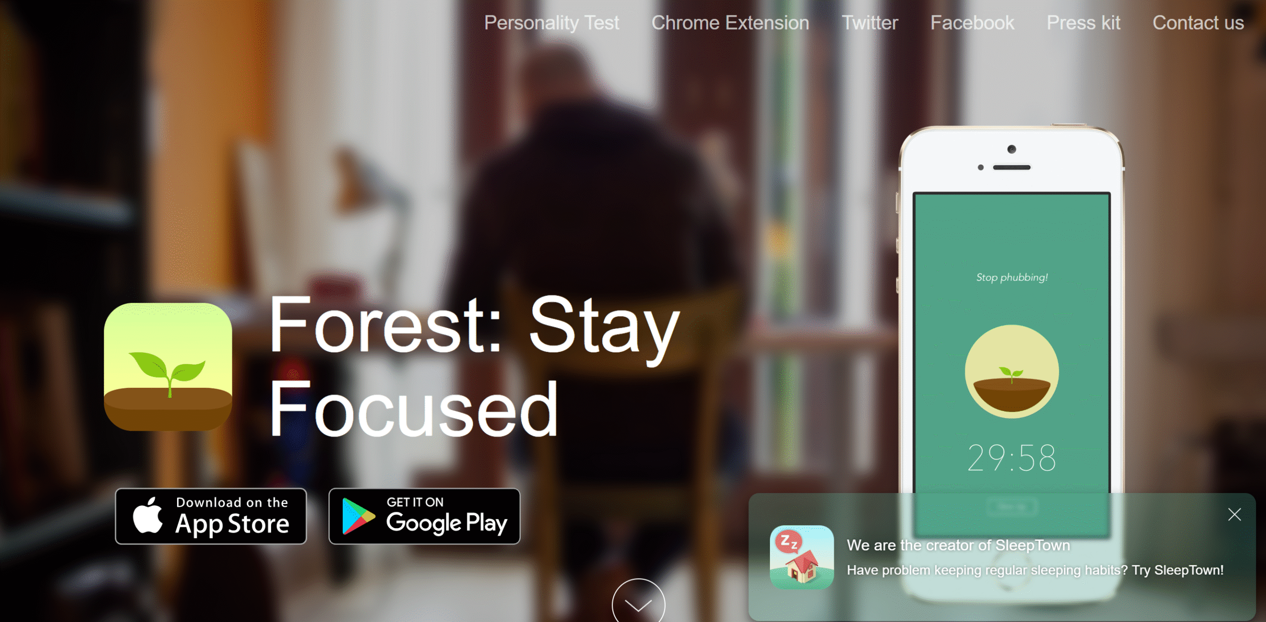 forest