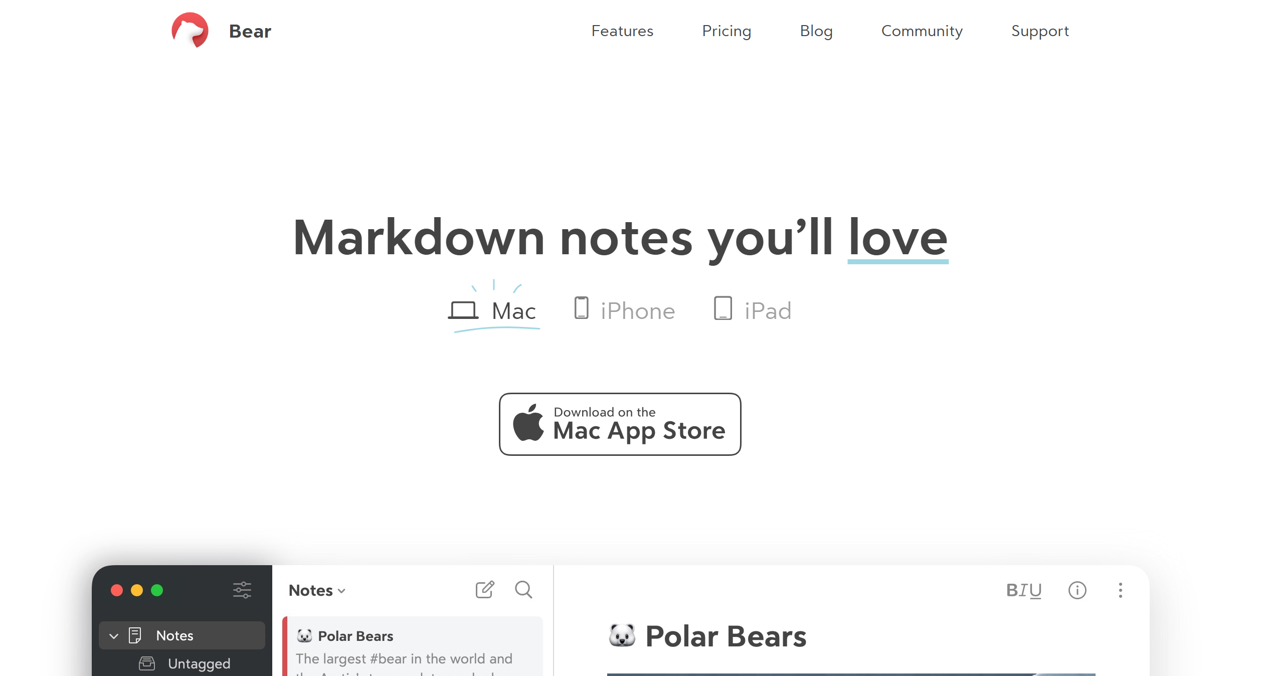 bear notes bear notes