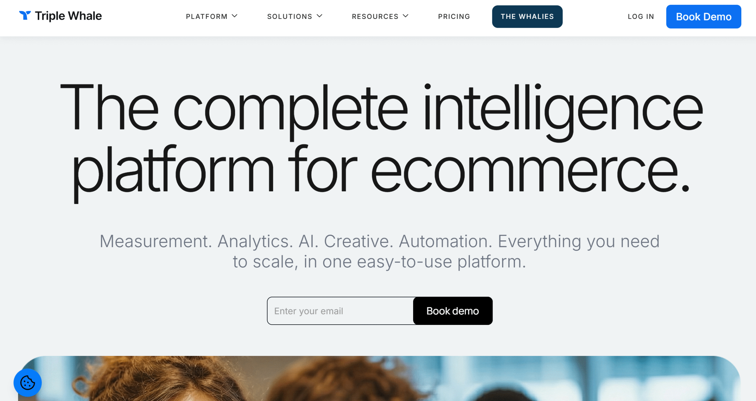 triplewhale Triple Whale ecommerce attribution and lead tracking dashboard